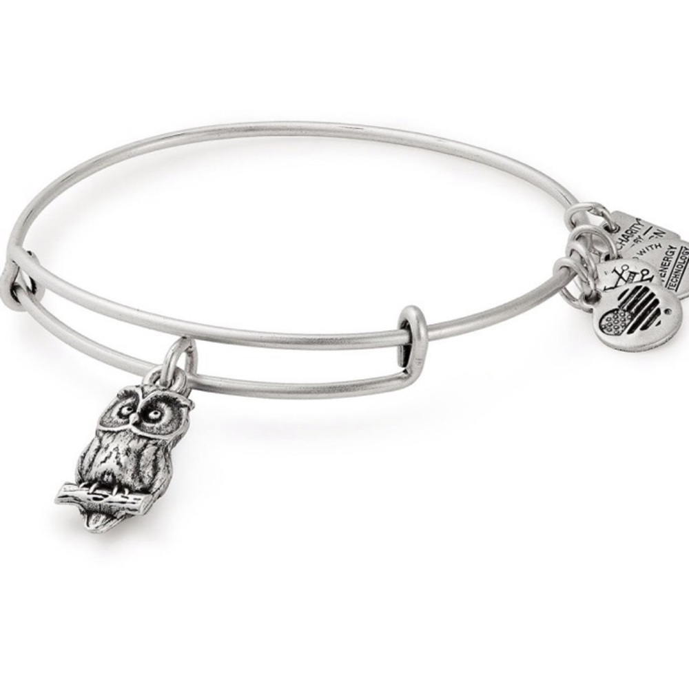 Alex and Ani Ode to the Owl Charity Charm Bangle